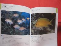 ★沖縄海中生物図鑑      　 第２巻   　　   ◆魚  　        【沖縄・琉球・自然・海洋生物】