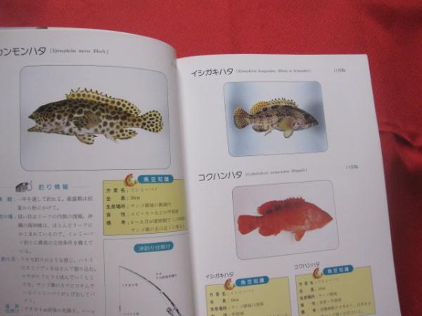 沖縄釣魚図鑑 つりと魚の百科 沖縄 琉球 趣味 知識 アウトドア 海洋レジャー 著者 新垣 柴太郎 吉野 哲夫 文華堂書店 古本 中古本 古書籍の通販は 日本の古本屋 日本の古本屋