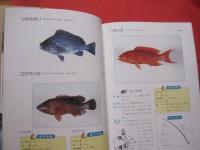 ☆沖縄釣魚図鑑     　 　   つりと魚の百科　          【沖縄・琉球・趣味・知識・アウトドア・海洋レジャー】