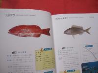 ☆沖縄釣魚図鑑     　 　   つりと魚の百科　          【沖縄・琉球・趣味・知識・アウトドア・海洋レジャー】
