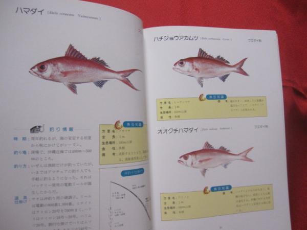 沖縄釣魚図鑑 つりと魚の百科 沖縄 琉球 趣味 知識 アウトドア 海洋レジャー 著者 新垣 柴太郎 吉野 哲夫 文華堂書店 古本 中古本 古書籍の通販は 日本の古本屋 日本の古本屋 沖縄釣魚図鑑 つりと魚の百科 沖縄 琉球 趣味 知識 アウトドア 海洋レジャー 著者 新垣 柴太郎 吉野 哲夫 文華堂書店 古本 中古本 古書籍の通販は 日本の古本屋 日本の古本屋