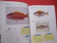 ☆沖縄釣魚図鑑     　 　   つりと魚の百科　          【沖縄・琉球・趣味・知識・アウトドア・海洋レジャー】