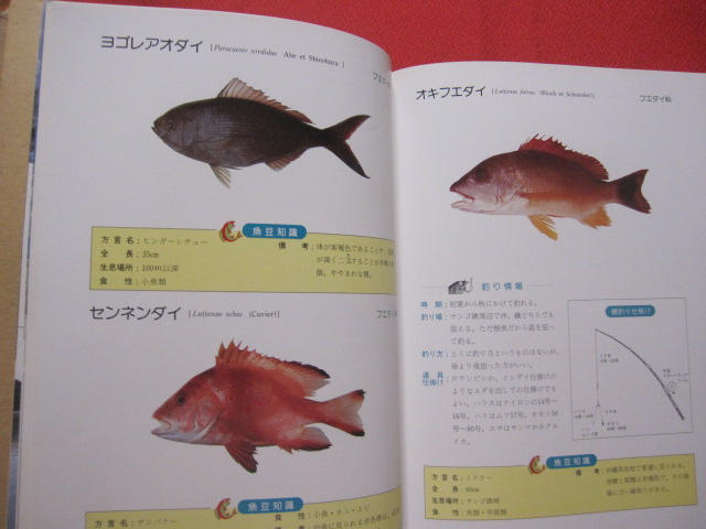 沖縄釣魚図鑑 つりと魚の百科 沖縄 琉球 趣味 知識 アウトドア 海洋レジャー 著者 新垣 柴太郎 吉野 哲夫 文華堂書店 古本 中古本 古書籍の通販は 日本の古本屋 日本の古本屋 沖縄釣魚図鑑 つりと魚の百科 沖縄 琉球 趣味 知識 アウトドア 海洋レジャー 著者 新垣 柴太郎 吉野 哲夫 文華堂書店 古本 中古本 古書籍の通販は 日本の古本屋 日本の古本屋