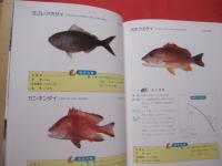 ☆沖縄釣魚図鑑     　 　   つりと魚の百科　          【沖縄・琉球・趣味・知識・アウトドア・海洋レジャー】