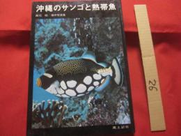 ★沖縄のサンゴと熱帯魚　　　　　 【沖縄・琉球・海洋生物・魚類・生物・自然・写真集】