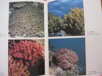 ★沖縄のサンゴと熱帯魚　　　　　 【沖縄・琉球・海洋生物・魚類・生物・自然・写真集】