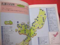 親と子の自然ガイド    　発見いっぱい！ 　    沖縄島　　   【沖縄・琉球・歴史・文化・動物・植物・昆虫・自然・アウトドア】