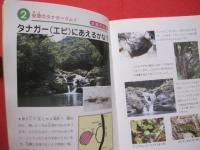 親と子の自然ガイド    　発見いっぱい！ 　    沖縄島　　   【沖縄・琉球・歴史・文化・動物・植物・昆虫・自然・アウトドア】