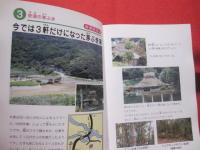 親と子の自然ガイド    　発見いっぱい！ 　    沖縄島　　   【沖縄・琉球・歴史・文化・動物・植物・昆虫・自然・アウトドア】