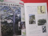 親と子の自然ガイド    　発見いっぱい！ 　    沖縄島　　   【沖縄・琉球・歴史・文化・動物・植物・昆虫・自然・アウトドア】