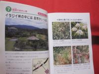 親と子の自然ガイド    　発見いっぱい！ 　    沖縄島　　   【沖縄・琉球・歴史・文化・動物・植物・昆虫・自然・アウトドア】