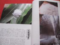 これからの沖縄を語りあう  　グローカル・マガジン　　　    ちゃんぷるー　  　　 創刊号 　　   ◎２００３　  　 Vo　l．　１  　　　 　 　  【沖縄・琉球・歴史・文化】
