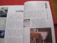 これからの沖縄を語りあう  　グローカル・マガジン　　　    ちゃんぷるー　  　　 創刊号 　　   ◎２００３　  　 Vo　l．　１  　　　 　 　  【沖縄・琉球・歴史・文化】
