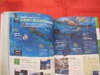 ハレ旅  　沖縄  　　ＯＫＩＮＡＷＡ　    　沖縄でしたい １０７のことをご案内  　  　【沖縄・琉球・歴史・文化・旅行ガイド】