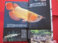 原色  熱帯魚  ハンドブック   　　　　 【趣味・観賞魚・アクアリウム】