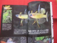 原色  熱帯魚  ハンドブック   　　　　 【趣味・観賞魚・アクアリウム】