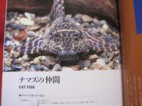 原色  熱帯魚  ハンドブック   　　　　 【趣味・観賞魚・アクアリウム】