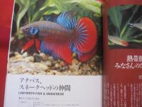 原色  熱帯魚  ハンドブック   　　　　 【趣味・観賞魚・アクアリウム】