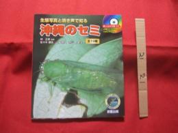 生態写真と鳴き声で知る　　　 沖縄のセミ 全１９種　　　　 綴じ込み付録CD　：　沖縄のセミ１９種類の鳴き声収録　　　　　　　　 【沖縄・琉球・生物・昆虫・自然】