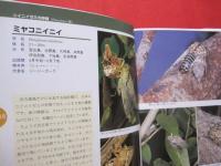 生態写真と鳴き声で知る　　　 沖縄のセミ 全１９種　　　　 綴じ込み付録CD　：　沖縄のセミ１９種類の鳴き声収録　　　　　　　　 【沖縄・琉球・生物・昆虫・自然】
