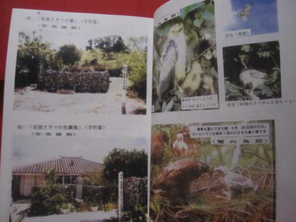 八重山の古典民謡集 ☆わかりやすい解説付き読本 【沖縄・琉球