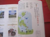 南の島の楽園生活マガジン   　沖縄スタイル　   Ｏｋｉｎａｗａ  　Ｓｔｙｌｅ 　 ２３    　◆買うか、借りるか、南の島に第二のわが家　   沖縄にセカンドハウスを持つ方法  　　   【沖縄・琉球・歴史・文化】