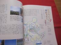 南の島の楽園生活マガジン   　沖縄スタイル　   Ｏｋｉｎａｗａ  　Ｓｔｙｌｅ 　 ２３    　◆買うか、借りるか、南の島に第二のわが家　   沖縄にセカンドハウスを持つ方法  　　   【沖縄・琉球・歴史・文化】