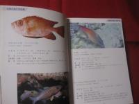 ★方言でしらべる      沖縄の魚図鑑　 　       【沖縄・琉球・自然・海洋生物】