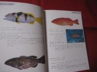 ★方言でしらべる      沖縄の魚図鑑　 　       【沖縄・琉球・自然・海洋生物】