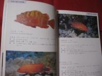 ★方言でしらべる      沖縄の魚図鑑　 　       【沖縄・琉球・自然・海洋生物】