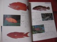 ★方言でしらべる      沖縄の魚図鑑　 　       【沖縄・琉球・自然・海洋生物】