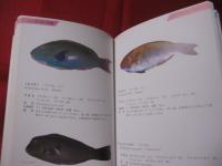 ★方言でしらべる      沖縄の魚図鑑　 　       【沖縄・琉球・自然・海洋生物】