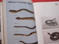 改訂  ハブと人間    吉田 朝啓 著    琉球新報社 刊                【沖縄・琉球・自然・生物・動物・爬虫類・知識】