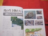 おきなわの川　　　　　　　   【沖縄・琉球・自然・環境】