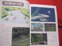 おきなわの川　　　　　　　   【沖縄・琉球・自然・環境】
