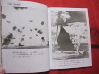 沖縄戦          衝撃の記録写真集              【沖縄・琉球・歴史・太平洋戦争】