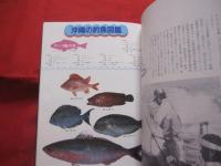 ☆★沖縄の釣りと海洋レジャー           【沖縄・琉球・趣味・文化・フィッシング・アウトドア】