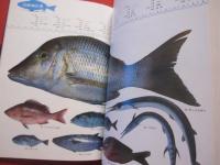 ☆★沖縄の釣りと海洋レジャー           【沖縄・琉球・趣味・文化・フィッシング・アウトドア】