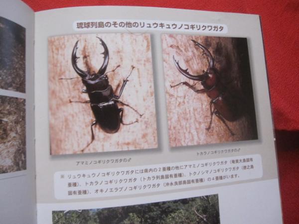 沖縄のクワガタムシ 沖縄のクワガタ全種類紹介 見直そう 郷土の自然 沖縄の自然シリーズ 沖縄 琉球 自然 生物 昆虫 著者 下地 幸夫 古本 中古本 古書籍の通販は 日本の古本屋 日本の古本屋 沖縄のクワガタムシ 沖縄のクワガタ全種類紹介 見直そう 郷土の自然 沖縄の自然シリーズ 沖縄 琉球 自然 生物 昆虫 著者 下地 幸夫 古本 中古本 古書籍の通販は 日本の古本屋 日本の古本屋