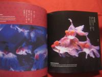 アートアクアリウム 　 ～ 金魚の舞 ～ 　 【観賞魚・絵画・写真集・美・癒し】