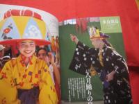 沖縄島々旅日和  　　  宮古・八重山編 　　    どっぷりと離島にひたる   　   【沖縄・琉球・歴史・文化・離島・先島地方】