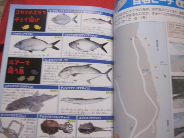 楽しい防波堤釣り 初心者からベテランまで 防波堤ポイント ７４ 砂浜 護岸ポイント 沖縄の防波堤釣り仕掛け １７ 沖縄 琉球 趣味 フィッシング 海洋レジャー 編集 発行人 比嘉 利行 文華堂書店 古本 中古本 古書籍の通販は 日本の古本屋 日本の