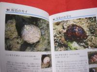 沖縄のサンゴ礁を楽しむ    　　  磯の生き物    　　　 写真点数４０２点　　  　  オールカラーで２６０種紹介！  　　　    【沖縄・琉球・自然・生物・動物・魚】