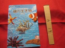 ☆沖縄のサンゴ礁を楽しむ  　　    磯の生き物  　　   写真点数４０２点   　　 オールカラーで２６０種紹介！   　　　　　   【沖縄・琉球・自然・生物・動物・魚】