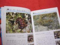 ☆沖縄のサンゴ礁を楽しむ  　　    磯の生き物  　　   写真点数４０２点   　　 オールカラーで２６０種紹介！   　　　　　   【沖縄・琉球・自然・生物・動物・魚】