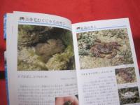 ☆沖縄のサンゴ礁を楽しむ  　　    磯の生き物  　　   写真点数４０２点   　　 オールカラーで２６０種紹介！   　　　　　   【沖縄・琉球・自然・生物・動物・魚】