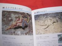 ☆沖縄のサンゴ礁を楽しむ  　　    磯の生き物  　　   写真点数４０２点   　　 オールカラーで２６０種紹介！   　　　　　   【沖縄・琉球・自然・生物・動物・魚】
