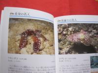 ☆沖縄のサンゴ礁を楽しむ  　　    磯の生き物  　　   写真点数４０２点   　　 オールカラーで２６０種紹介！   　　　　　   【沖縄・琉球・自然・生物・動物・魚】