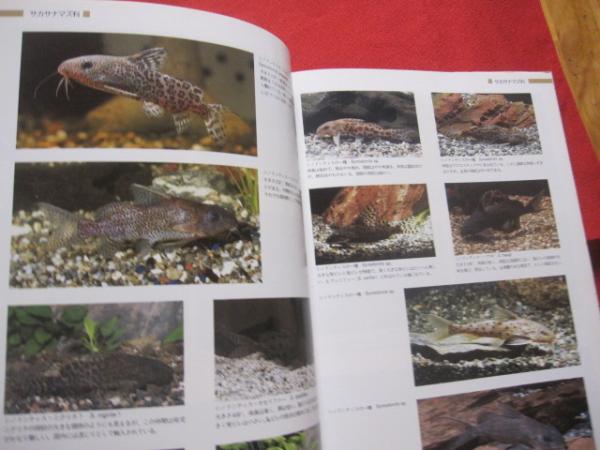 世界のナマズ catfishes of the world アクアライフ編 自然 生物 動物 魚類 図鑑 編集人 月刊アクアライフ 文華堂書店 古本 中古本 古書籍の通販は 日本の古本屋 日本の古本屋 世界のナマズ catfishes of the world アクアライフ編 自然 生物 動物 魚類 図鑑 編集人 月刊アクアライフ 文華堂書店 古本 中古本 古書籍の通販は 日本の古本屋 日本の古本屋