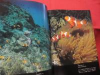 沖縄の海と自然   　　  館石 昭 　写真集 　  　　　  【沖縄・琉球・歴史・文化】